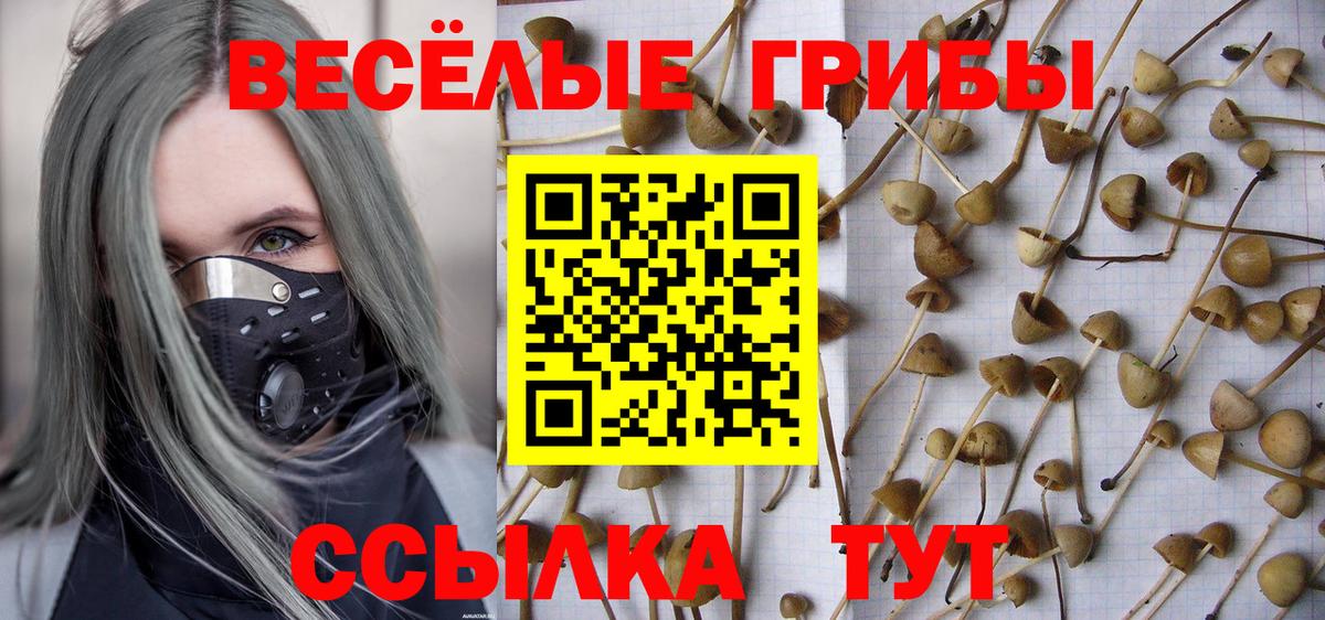 Благодарный  Галлюциногенные грибы GOLDEN TEACHER  Вход с VPN  Галлюциногенные грибы Magic Shrooms 